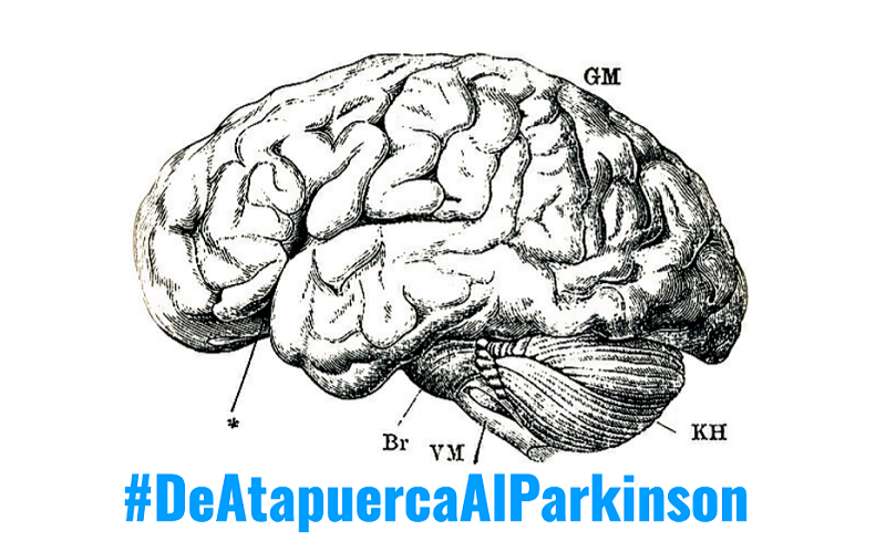 Atapuerca Parkinson