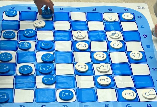 6AJEDREZ AJEDREZ PARKINSON